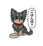 チワワ(ロングコート＋ブラック＆タン)（個別スタンプ：13）