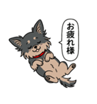 チワワ(ロングコート＋ブラック＆タン)（個別スタンプ：14）
