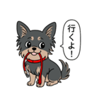 チワワ(ロングコート＋ブラック＆タン)（個別スタンプ：15）
