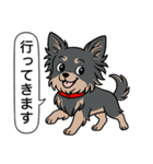 チワワ(ロングコート＋ブラック＆タン)（個別スタンプ：16）