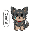 チワワ(ロングコート＋ブラック＆タン)（個別スタンプ：18）