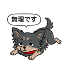 チワワ(ロングコート＋ブラック＆タン)（個別スタンプ：21）