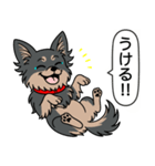 チワワ(ロングコート＋ブラック＆タン)（個別スタンプ：22）