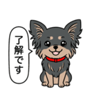 チワワ(ロングコート＋ブラック＆タン)（個別スタンプ：23）