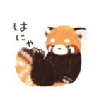 レッサーパンダ ポヘのはにゃ！な気持ち（個別スタンプ：2）