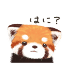 レッサーパンダ ポヘのはにゃ！な気持ち（個別スタンプ：4）