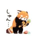 レッサーパンダ ポヘのはにゃ！な気持ち（個別スタンプ：7）