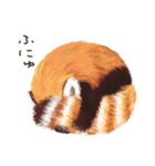 レッサーパンダ ポヘのはにゃ！な気持ち（個別スタンプ：10）