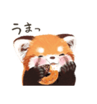 レッサーパンダ ポヘのはにゃ！な気持ち（個別スタンプ：15）