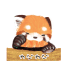 レッサーパンダ ポヘのはにゃ！な気持ち（個別スタンプ：16）