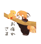 レッサーパンダ ポヘのはにゃ！な気持ち（個別スタンプ：21）
