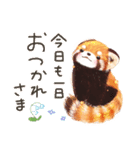 レッサーパンダ ポヘのはにゃ！な気持ち（個別スタンプ：22）