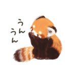 レッサーパンダ ポヘのはにゃ！な気持ち（個別スタンプ：26）
