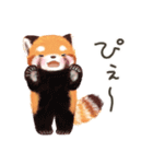 レッサーパンダ ポヘのはにゃ！な気持ち（個別スタンプ：27）