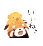 レッサーパンダ ポヘのはにゃ！な気持ち（個別スタンプ：31）