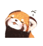 レッサーパンダ ポヘのはにゃ！な気持ち（個別スタンプ：32）