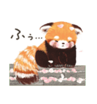 レッサーパンダ ポヘのはにゃ！な気持ち（個別スタンプ：33）