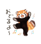 レッサーパンダ ポヘのはにゃ！な気持ち（個別スタンプ：34）