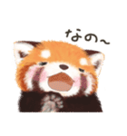 レッサーパンダ ポヘのはにゃ！な気持ち（個別スタンプ：36）
