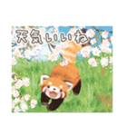 レッサーパンダ ポヘのはにゃ！な気持ち（個別スタンプ：40）