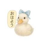 ふんわり水彩コールダック（個別スタンプ：1）