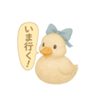 ふんわり水彩コールダック（個別スタンプ：11）