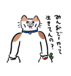 やつれねこ（個別スタンプ：1）