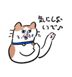 やつれねこ（個別スタンプ：9）