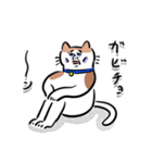 やつれねこ（個別スタンプ：23）