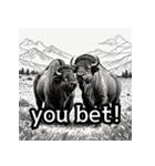 アメリカバイソンライク_英語（個別スタンプ：38）