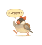 ふんわりリボン文鳥スタンプ（個別スタンプ：3）