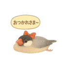 ふんわりリボン文鳥スタンプ（個別スタンプ：4）