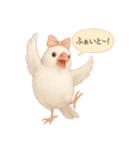 ふんわりリボン文鳥スタンプ（個別スタンプ：5）