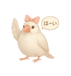 ふんわりリボン文鳥スタンプ（個別スタンプ：8）
