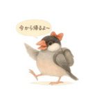 ふんわりリボン文鳥スタンプ（個別スタンプ：9）