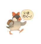 ふんわりリボン文鳥スタンプ（個別スタンプ：10）