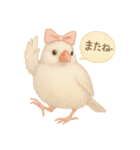 ふんわりリボン文鳥スタンプ（個別スタンプ：13）