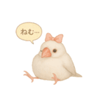 ふんわりリボン文鳥スタンプ（個別スタンプ：16）