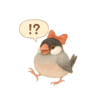 ふんわりリボン文鳥スタンプ（個別スタンプ：17）