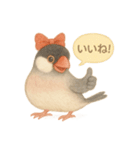 ふんわりリボン文鳥スタンプ（個別スタンプ：18）