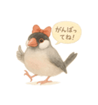 ふんわりリボン文鳥スタンプ（個別スタンプ：20）