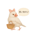 ふんわりリボン文鳥スタンプ（個別スタンプ：21）