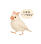 ふんわりリボン文鳥スタンプ（個別スタンプ：22）