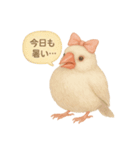 ふんわりリボン文鳥スタンプ（個別スタンプ：24）