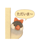 ふんわりリボン文鳥スタンプ（個別スタンプ：26）
