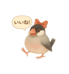 ふんわりリボン文鳥スタンプ（個別スタンプ：27）