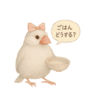 ふんわりリボン文鳥スタンプ（個別スタンプ：29）