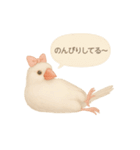 ふんわりリボン文鳥スタンプ（個別スタンプ：31）