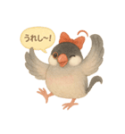 ふんわりリボン文鳥スタンプ（個別スタンプ：34）