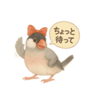 ふんわりリボン文鳥スタンプ（個別スタンプ：36）